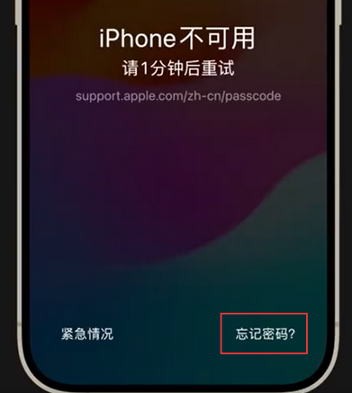新兴苹果手机密码维修分享iPhone忘记了刚设置的密码 