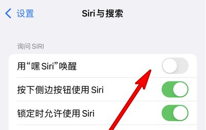 新兴苹果13维修分享iPhone 13怎么唤醒 Siri  