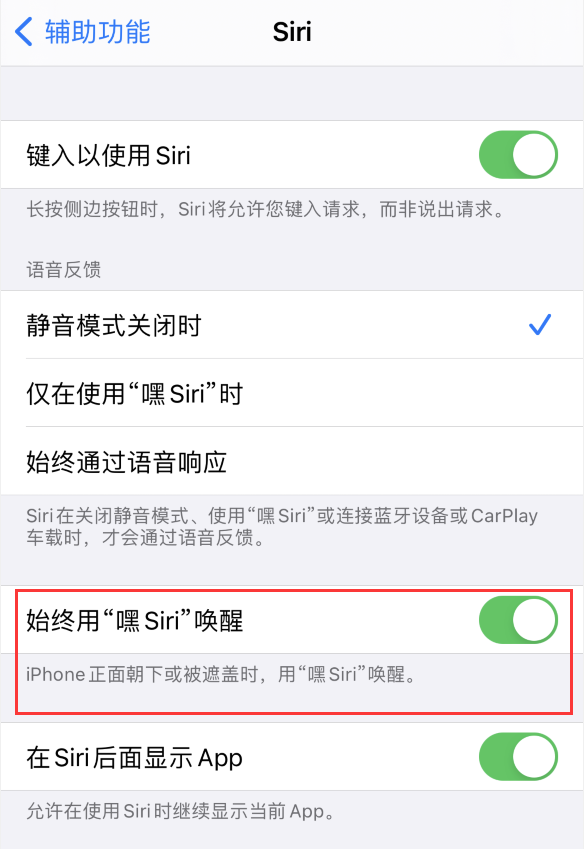 新兴苹果手机维修分享使用 iPhone 12 时 Siri 不会正常回应怎么办 