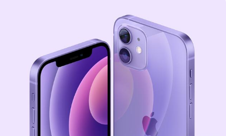 新兴苹果手机维修分享紫色版iPhone 12有什么技术亮点 