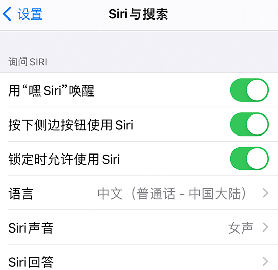新兴苹果手机维修分享使用 iPhone 12 时 Siri 不会正常回应怎么办 