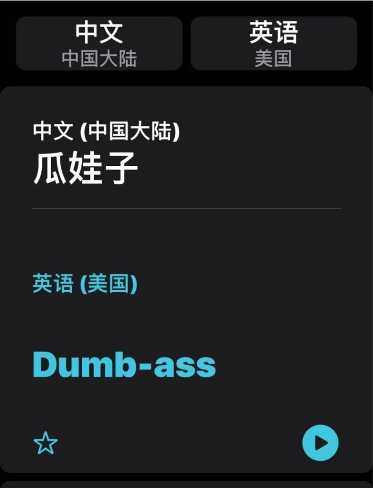新兴苹果手机维修分享iOS14的“翻译太懂了”怎么用 